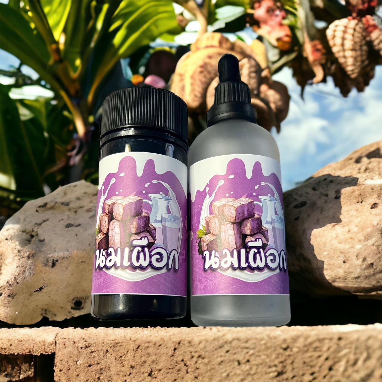 [Pre Order] นมเผือก KNK